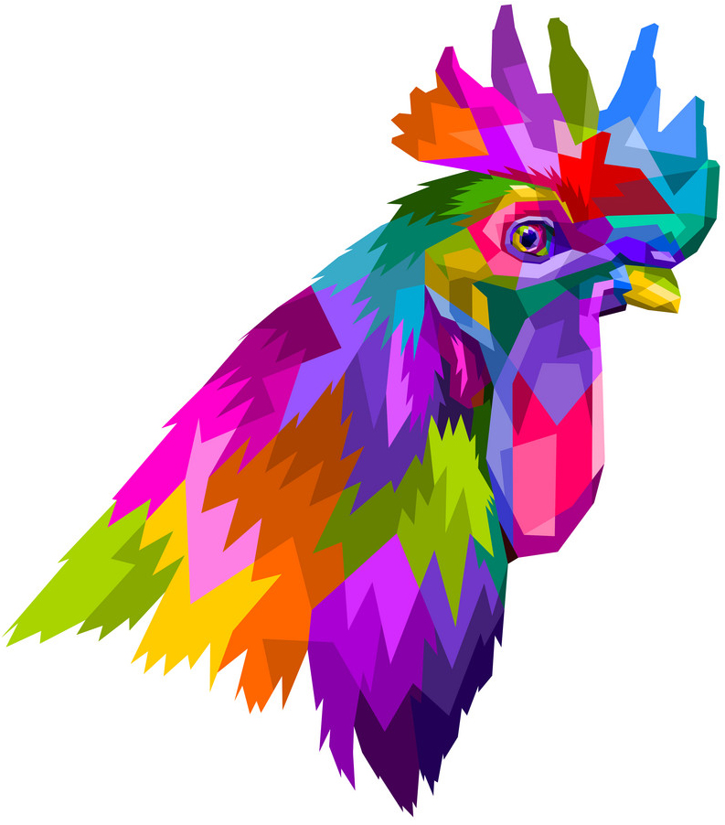 Texas raised Bengal kittens with leopard-like rosettes