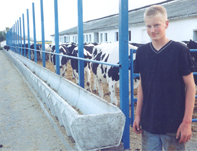 Bengal Kittens for sale near me