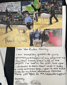 Bengal cat breeder near me