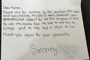 Bengal cat breeder near me