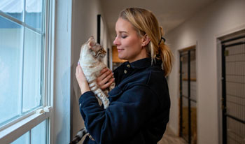 Bengal Kittens for sale near me