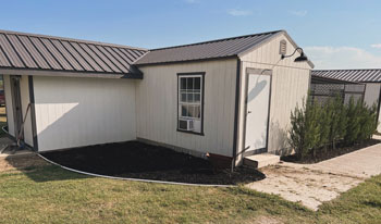 Bengal Kittens for sale near me