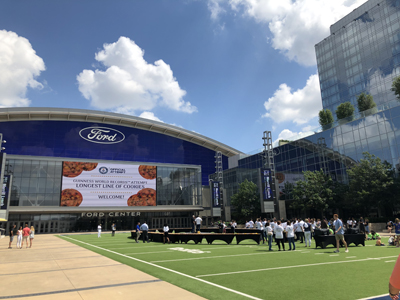 Bengal cat breeder near me