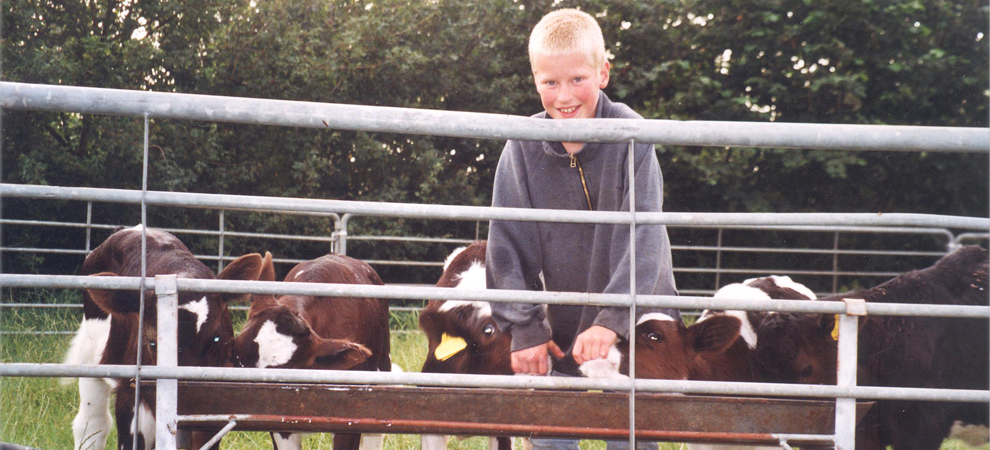 Bengal Kittens for sale near me