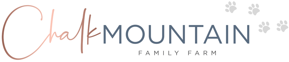 Playful Bengal kitten for sale in Texas with rosetted markings